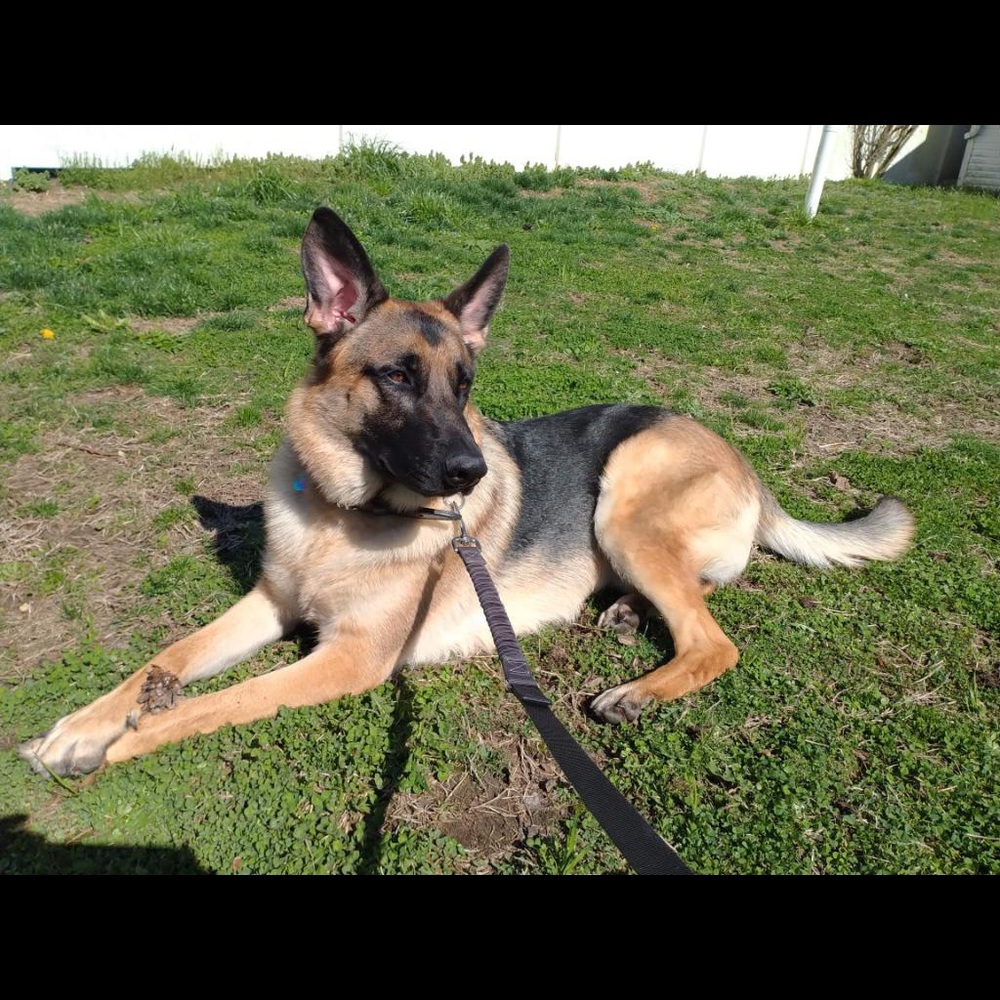 Meet your Posher, Jeff